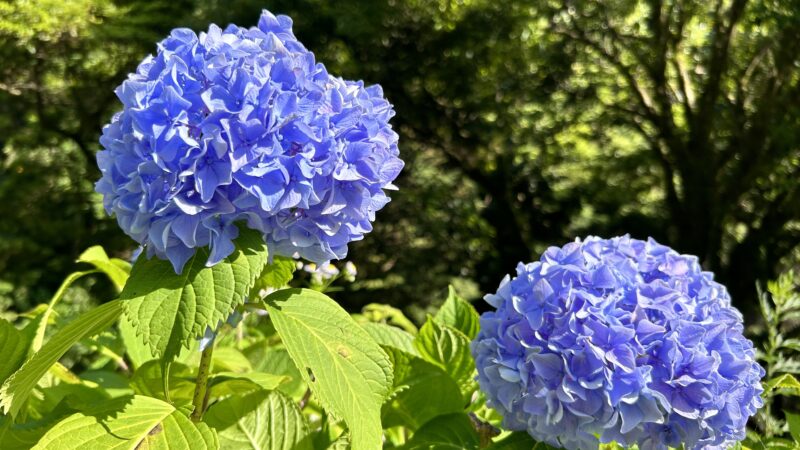 唐津おすすめスポット／見帰りの滝