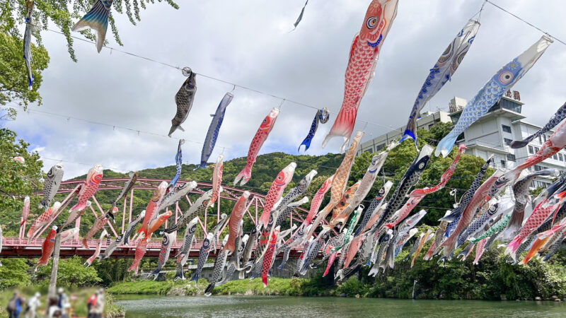 川上峡のこいのぼり