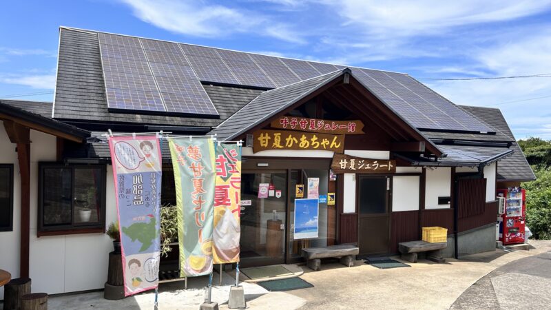 甘夏かあちゃんの甘夏ゼリー〈唐津市〉