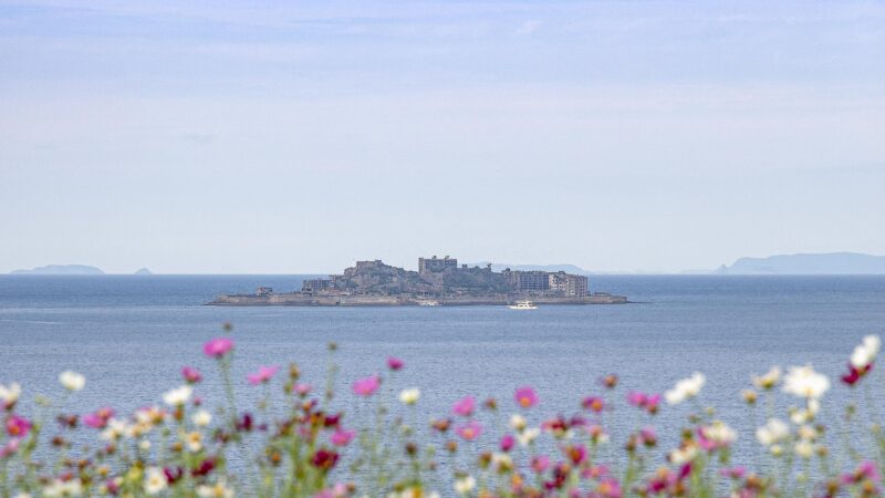 一島一家のコスモス畑と周辺グルメ〈長崎市〉