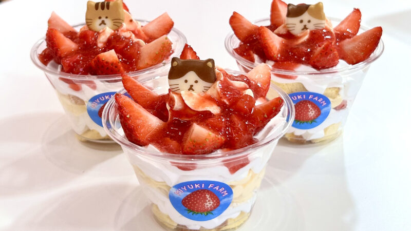 いちご農家 みゆきファームのお店「苺屋」〈有田町〉