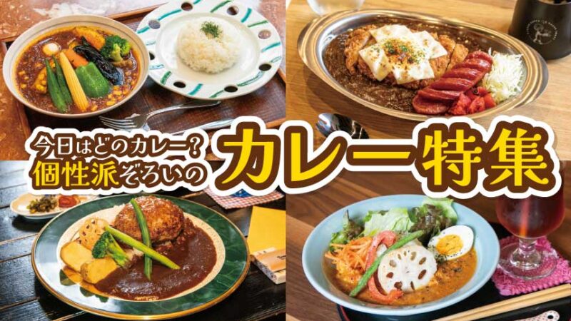 やさしさも、コクも、満足感も！ 個性派ぞろいのカレー特集
