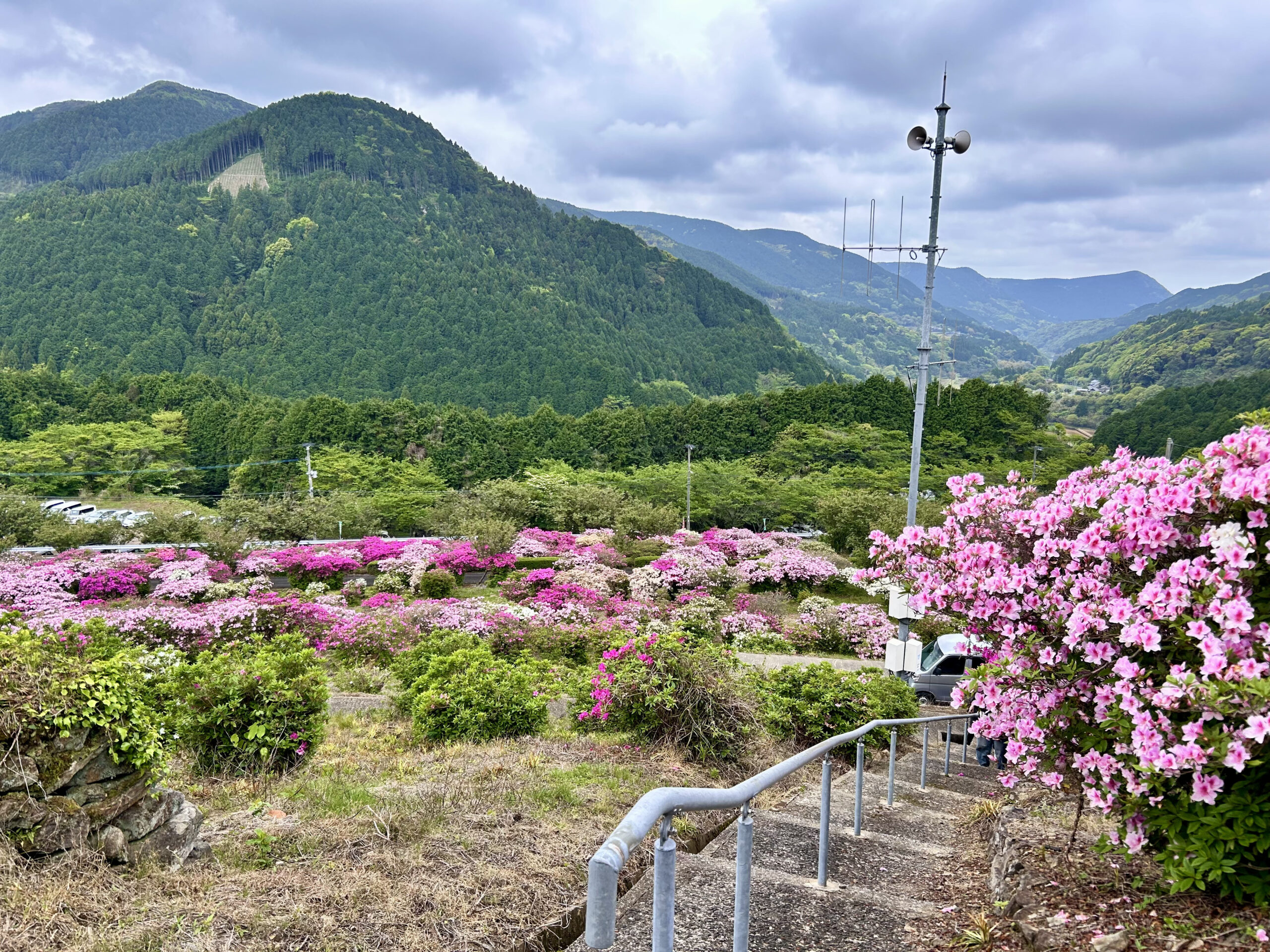 伊万里市】竹の古場公園つつじ祭りに行ってきました！花とイベント