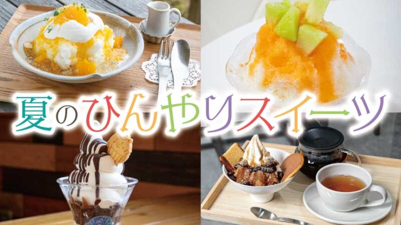 暑い日にうれしい、見た目も涼やかな甘いひととき♥夏のひんやりスイーツ特集2026